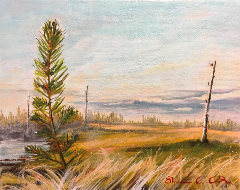 Wapisiw Lookout, by Shannon Carla King