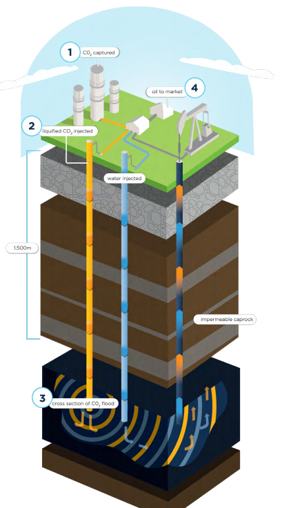 Graphic courtesy Whitecap Resources.