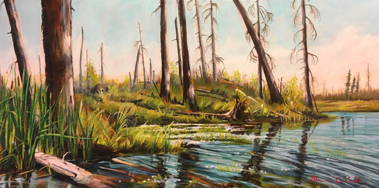 No Net Loss Lake, by Shannon Carla King