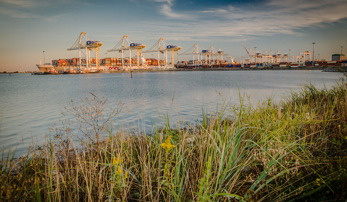20260809_GCT Deltaport container terminal at Roberts Bank in Delta, B.C.jpg