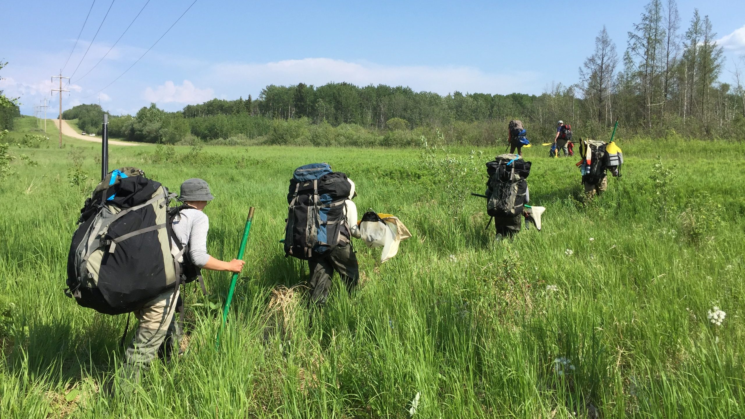 Researchers with the Alberta Biodiversity Monitoring Institute in the oil sands region of northern Alberta. Photo courtesy Alberta Biodiversity Monitoring Institute