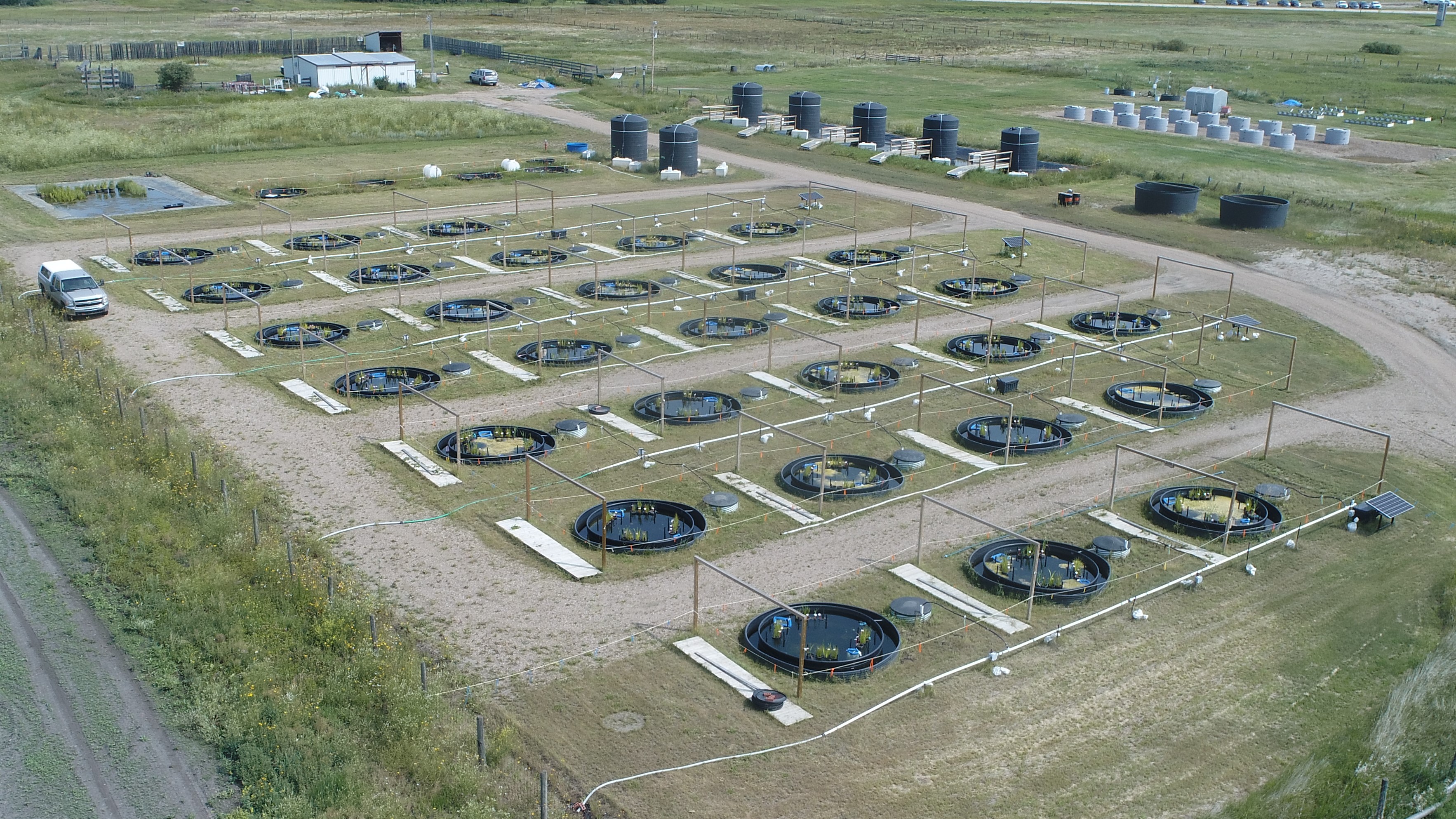 A field of 30 mesocosm pools that mirror the functions of mining pit lakes at InnoTech Alberta's facility in Vegreville. Photograph courtesy InnoTech Alberta