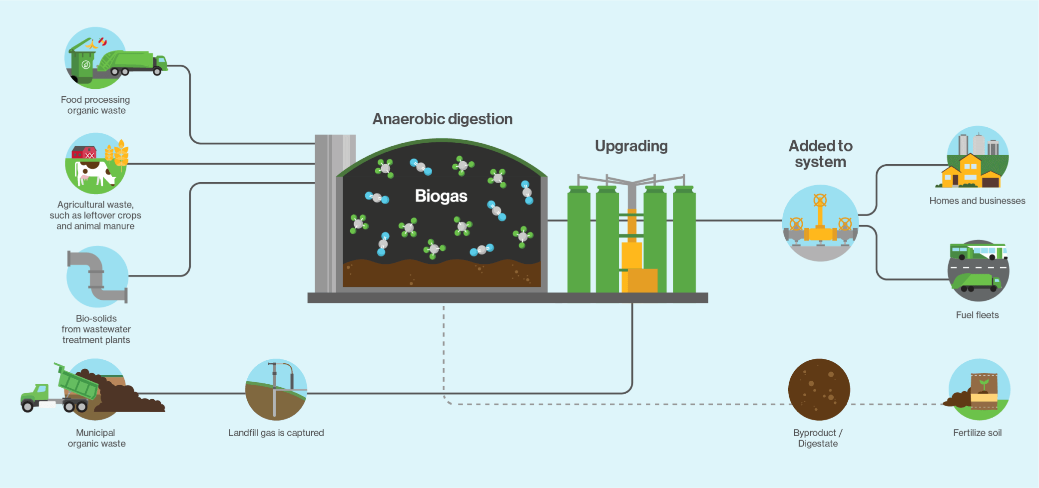 How renewable natural gas is made and used. Image courtesy Enbridge